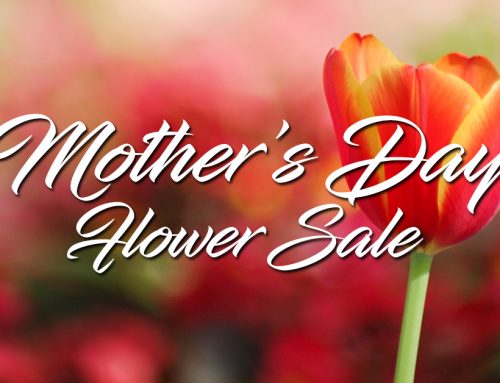 Mother’s Day Flower Sale