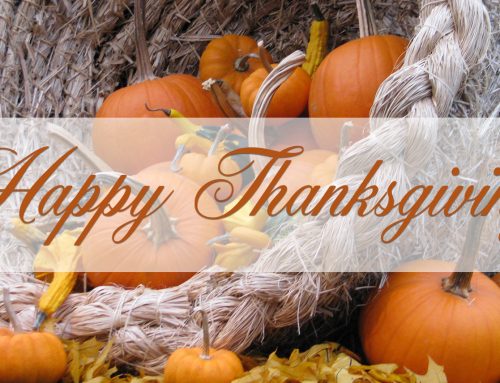 Online Worship: Thanksgiving, November 24, 2022
